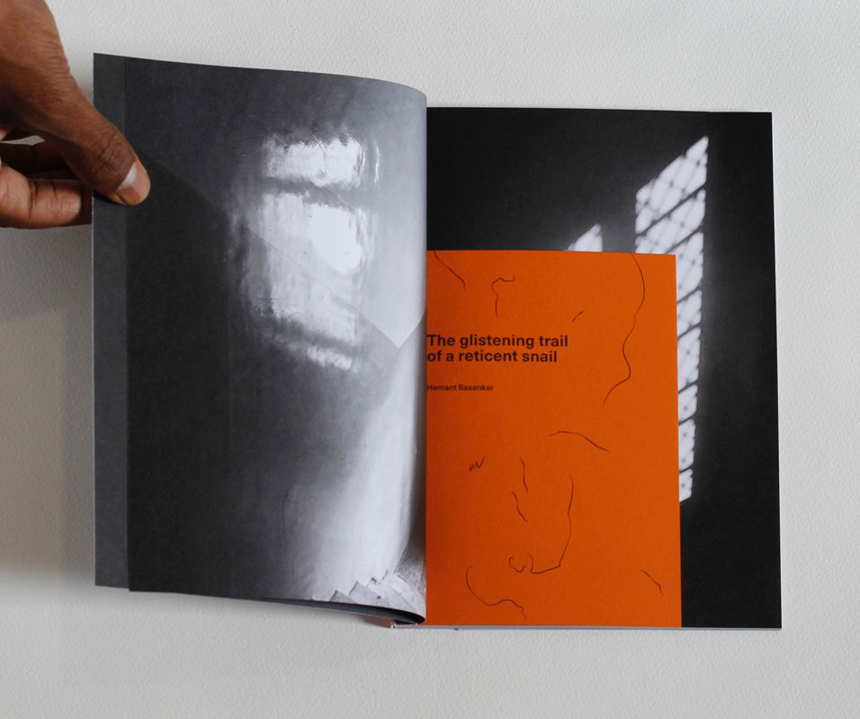 The glistening trail of a reticent snail